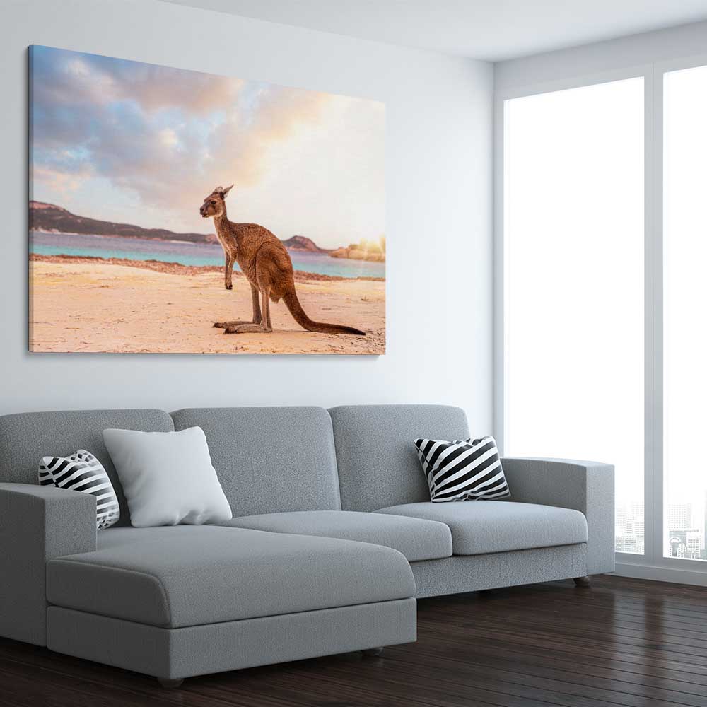 Animal wall art and canvas prints of Sunset Kangaroo Walk on a stretched canvas displayed from an angle in a room