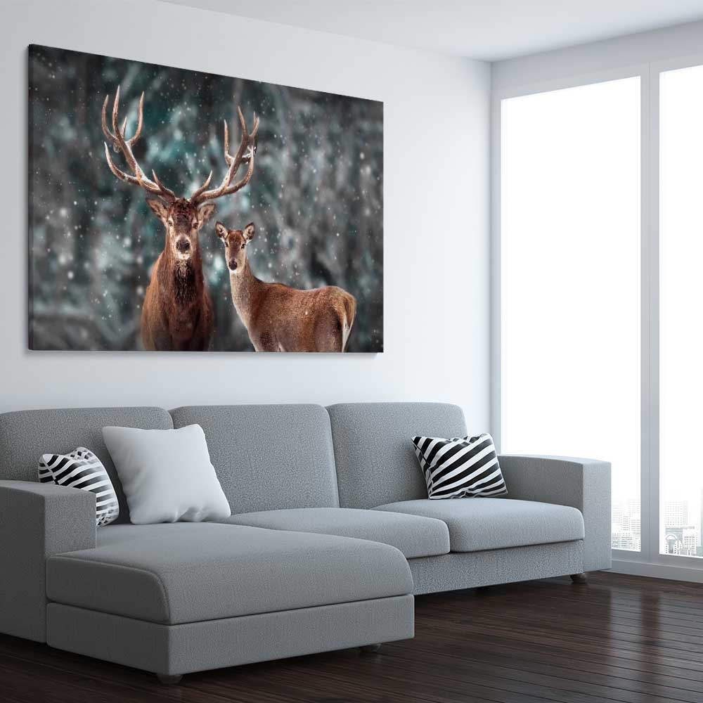 Animal wall art and canvas prints of Twin Highland Stags on a stretched canvas displayed from an angle in a room