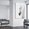 Animal wall art and canvas prints of White Horse Elegance on a stretched canvas displayed from an angle in a room