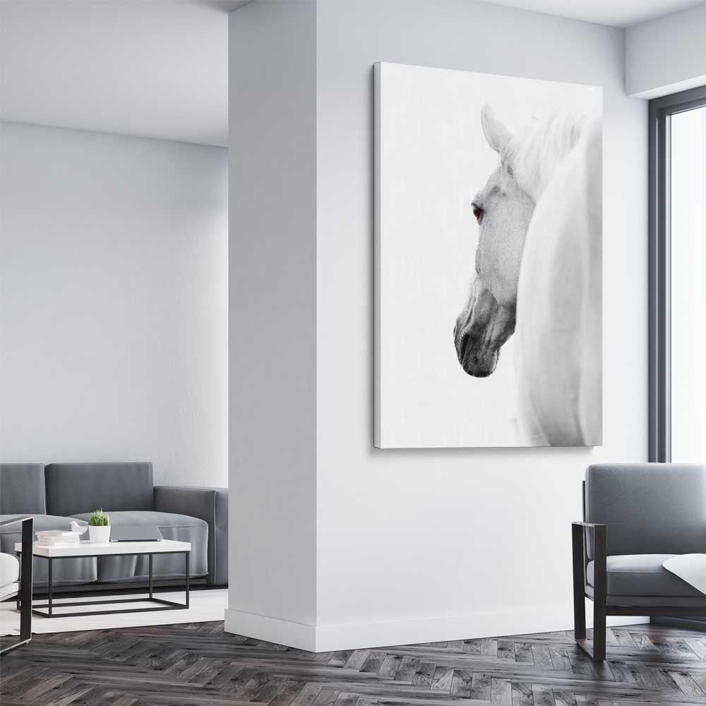Animal wall art and canvas prints of White Horse Elegance on a stretched canvas displayed from an angle in a room
