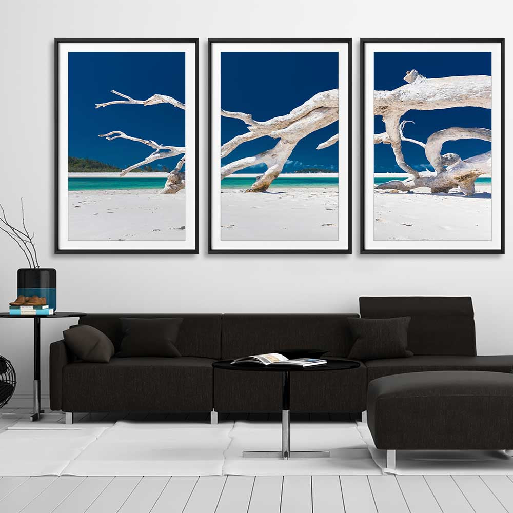 Beach and coastal wall art print of Whitsundays Driftwood Set on a stretched canvas displayed from an angle in a room