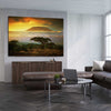 Floral print of Mount Kilimanjaro Sunset on a stretched canvas displayed from an angle in a room