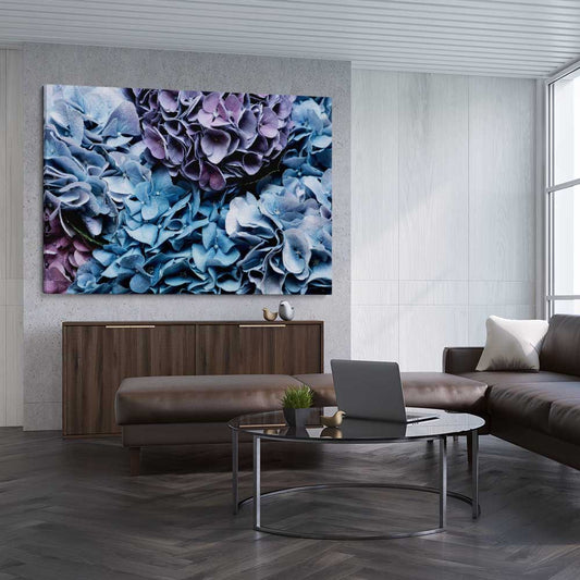 Floral print of Blue Hydrangea on a stretched canvas displayed from an angle in a room