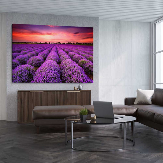 Floral print of Lavender Field on a stretched canvas displayed from an angle in a room