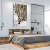 Floral print of Snowy Gumtrees on a stretched canvas displayed from an angle in a room