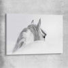 Animal wall art and canvas prints of Andalusian Horse on a stretched canvas