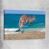 Animal wall art and canvas prints of Coastal Kangaroo Leap on a stretched canvas