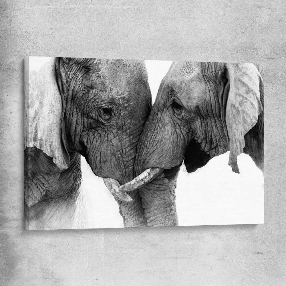 Animal wall art and canvas prints of Elephant Love on a stretched canvas
