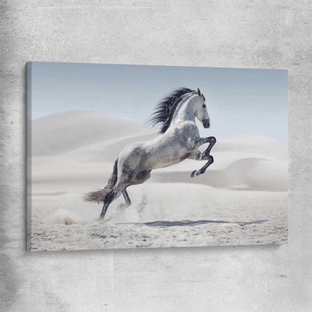 Animal wall art and canvas prints of Free Spirit Horse on a stretched canvas