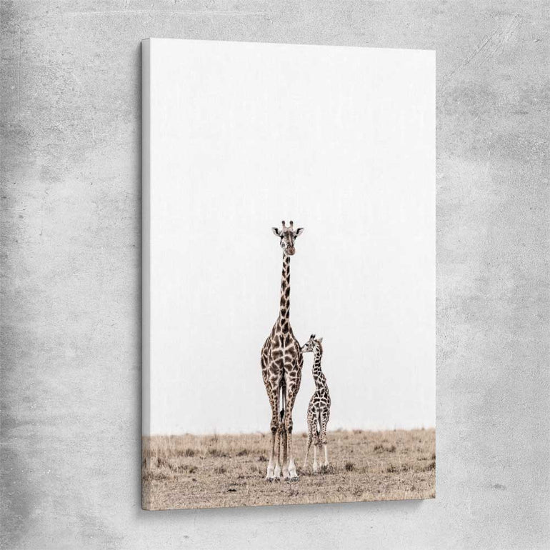 Animal wall art and canvas prints of Giraffe Affection on a stretched canvas