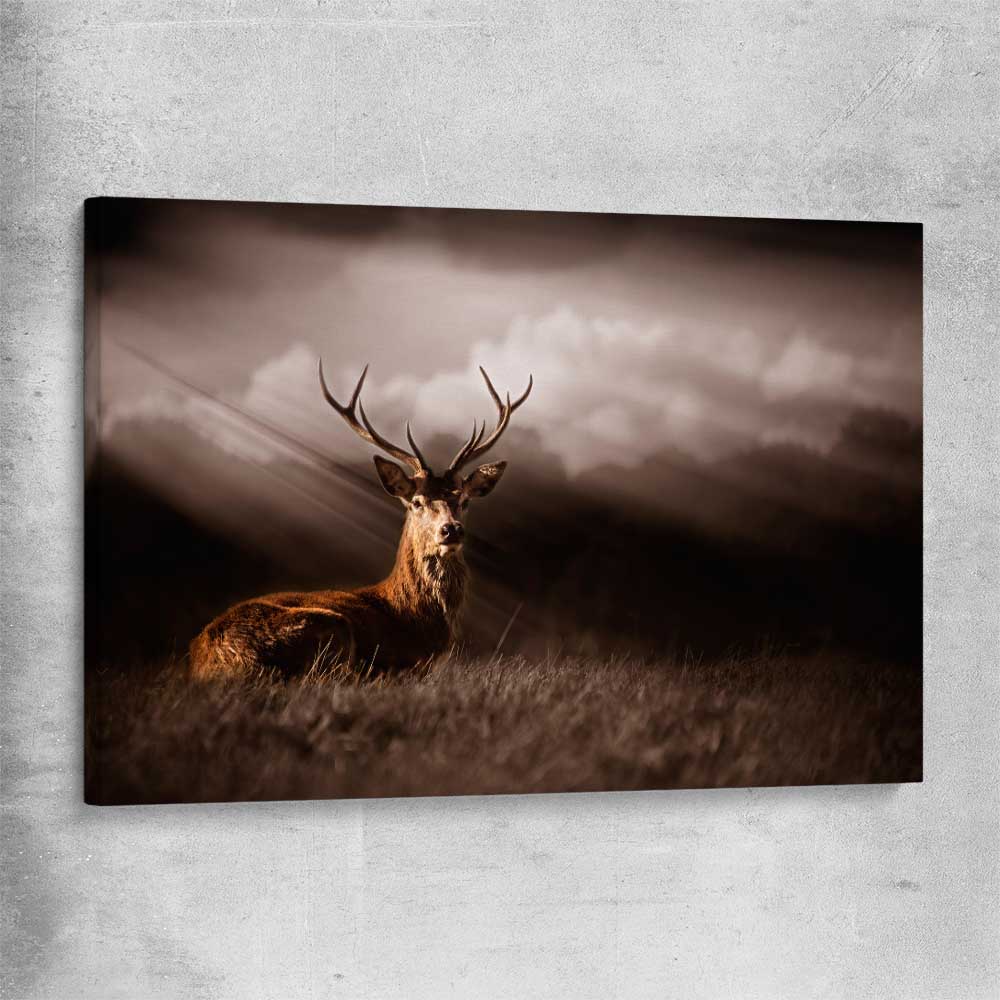 Animal wall art and canvas prints of Glowing Deer on a stretched canvas