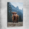 Animal wall art and canvas prints of Growing Highland on a stretched canvas