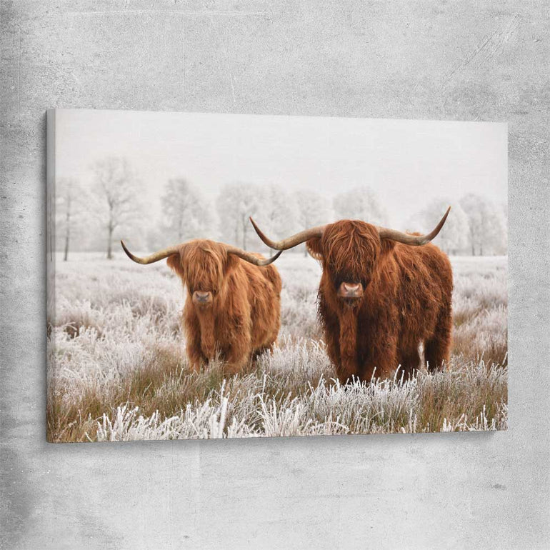 Animal wall art and canvas prints of Highland Pack on a stretched canvas