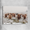 Animal wall art and canvas prints of Highland Ranges on a stretched canvas