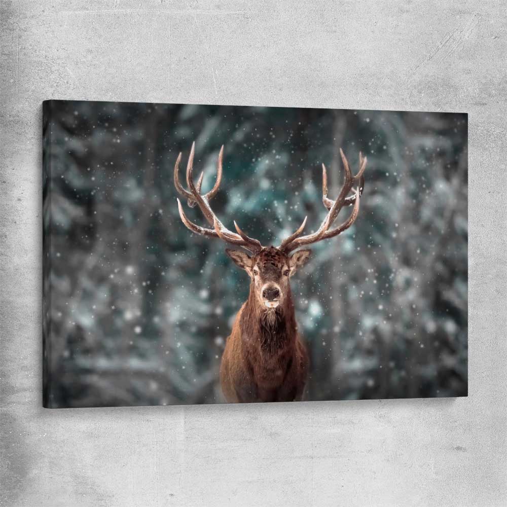 Animal wall art and canvas prints of Highland Stag Portrait on a stretched canvas