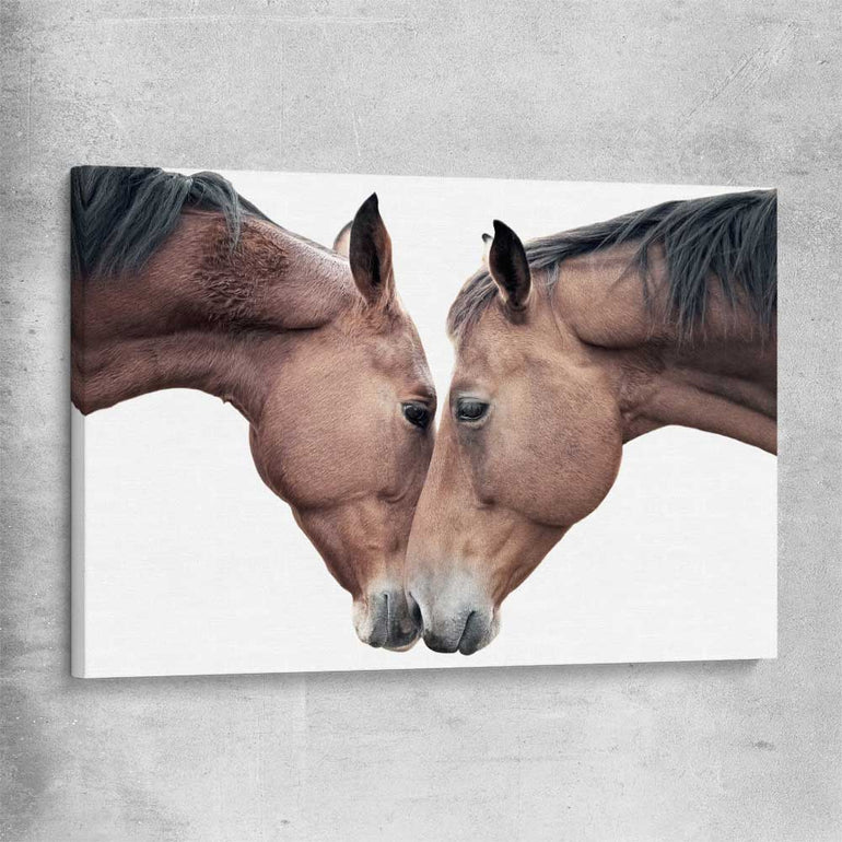 Animal wall art and canvas prints of Horse Affection on a stretched canvas