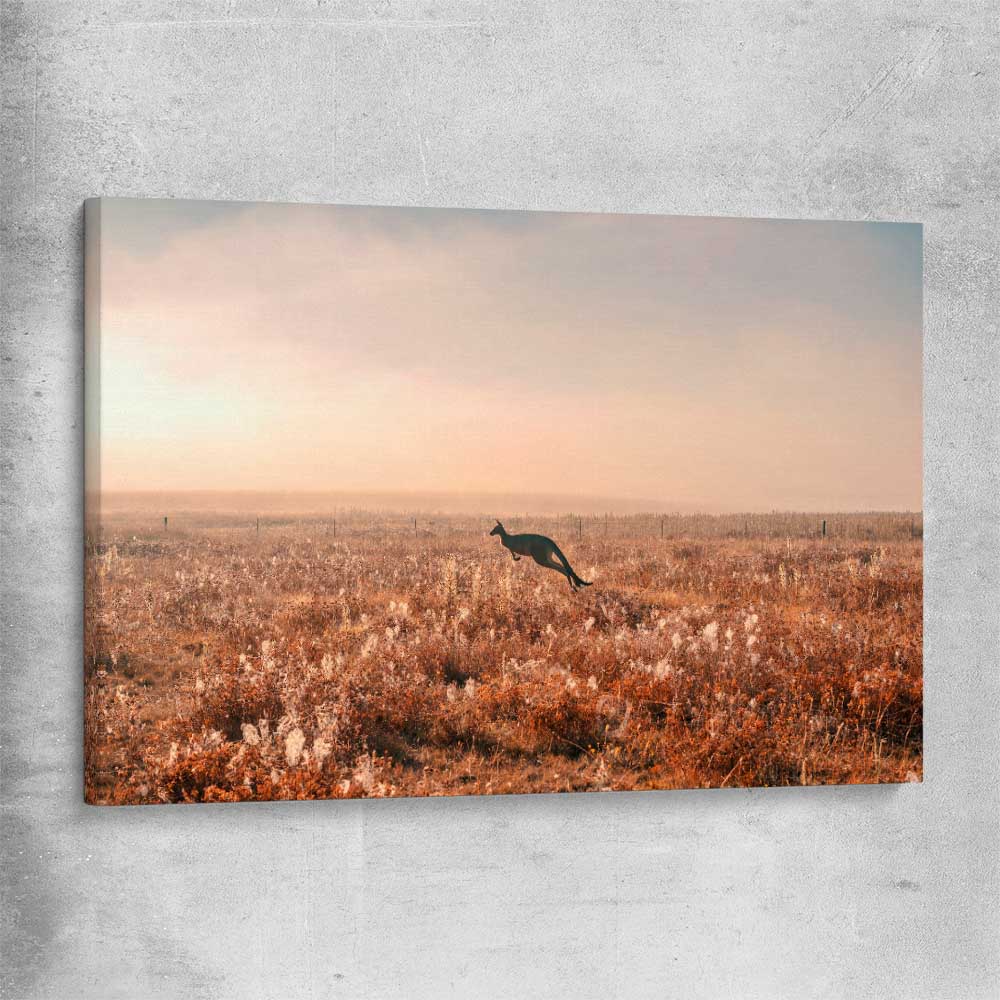 Animal wall art and canvas prints of Kangaroo Desert Horizon on a stretched canvas