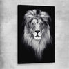 Animal wall art and canvas prints of Lion Gaze on a stretched canvas