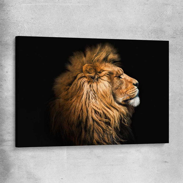 Animal wall art and canvas prints of Lion Mentality on a stretched canvas