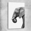 Animal wall art and canvas prints of Lone Elephant on a stretched canvas