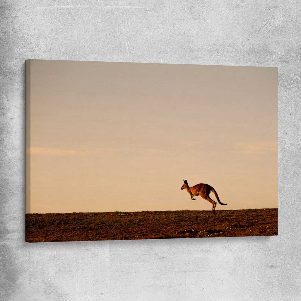 Animal wall art and canvas prints of Lone Kangaroo Plains on a stretched canvas