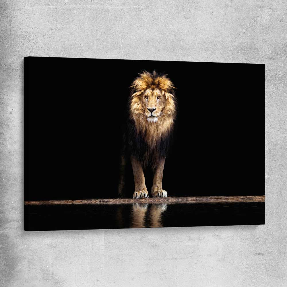 Animal wall art and canvas prints of Majestic Lion on a stretched canvas