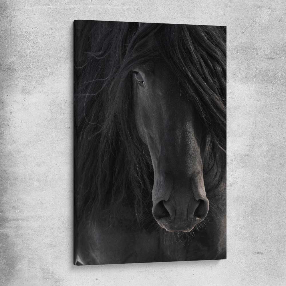 Animal wall art and canvas prints of Midnight Friesian Horse on a stretched canvas