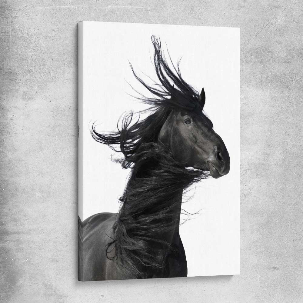 Animal wall art and canvas prints of Midnight Horse on a stretched canvas