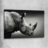 Animal wall art and canvas prints of Monochrome Rhinoceros on a stretched canvas