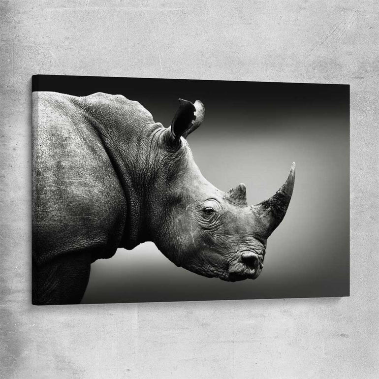 Animal wall art and canvas prints of Monochrome Rhinoceros on a stretched canvas