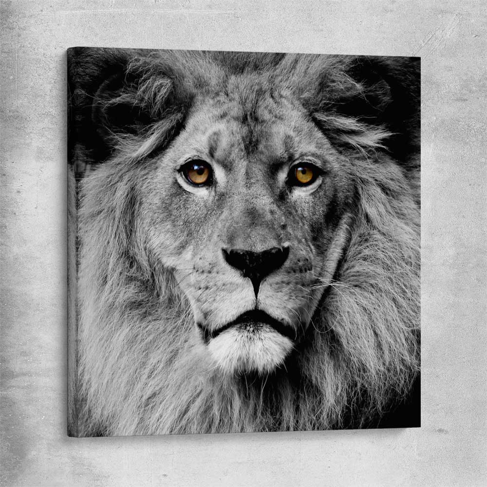 Animal wall art and canvas prints of Noble Lion Portrait on a stretched canvas