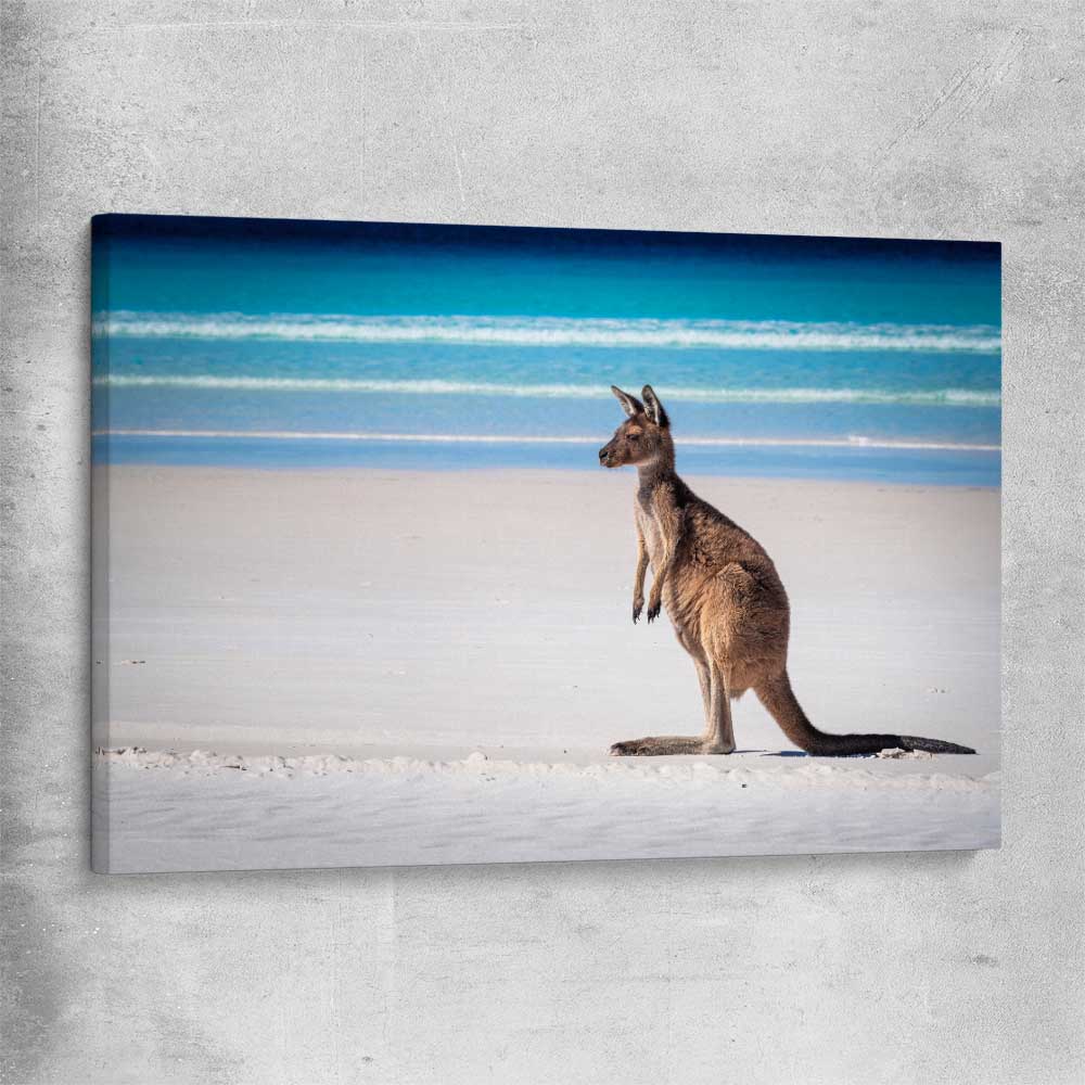 Animal wall art and canvas prints of Ocean Kangaroo Edge on a stretched canvas