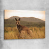 Animal wall art and canvas prints of Outback Kangaroo on a stretched canvas