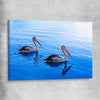 Animal wall art and canvas prints of Pelican Blue Waters on a stretched canvas