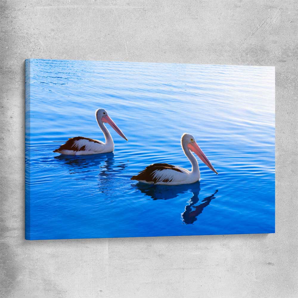 Animal wall art and canvas prints of Pelican Blue Waters on a stretched canvas