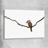 Animal wall art and canvas prints of Perched Kookaburra on a stretched canvas