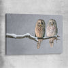 Animal wall art and canvas prints of Perched Owls on a stretched canvas
