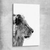Animal wall art and canvas prints of Pondering Lion on a stretched canvas