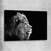 Animal wall art and canvas prints of Regal Lion Profile on a stretched canvas