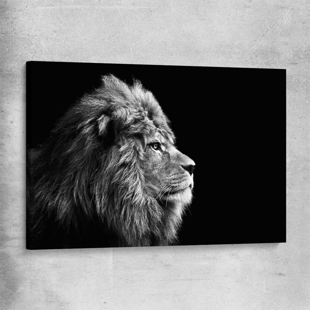 Animal wall art and canvas prints of Regal Lion Profile on a stretched canvas