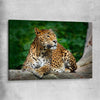 Animal wall art and canvas prints of Resting Leopard on a stretched canvas