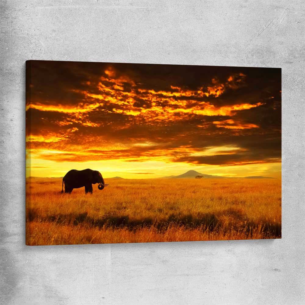 Animal wall art and canvas prints of Savannah Elephant Sunset on a stretched canvas
