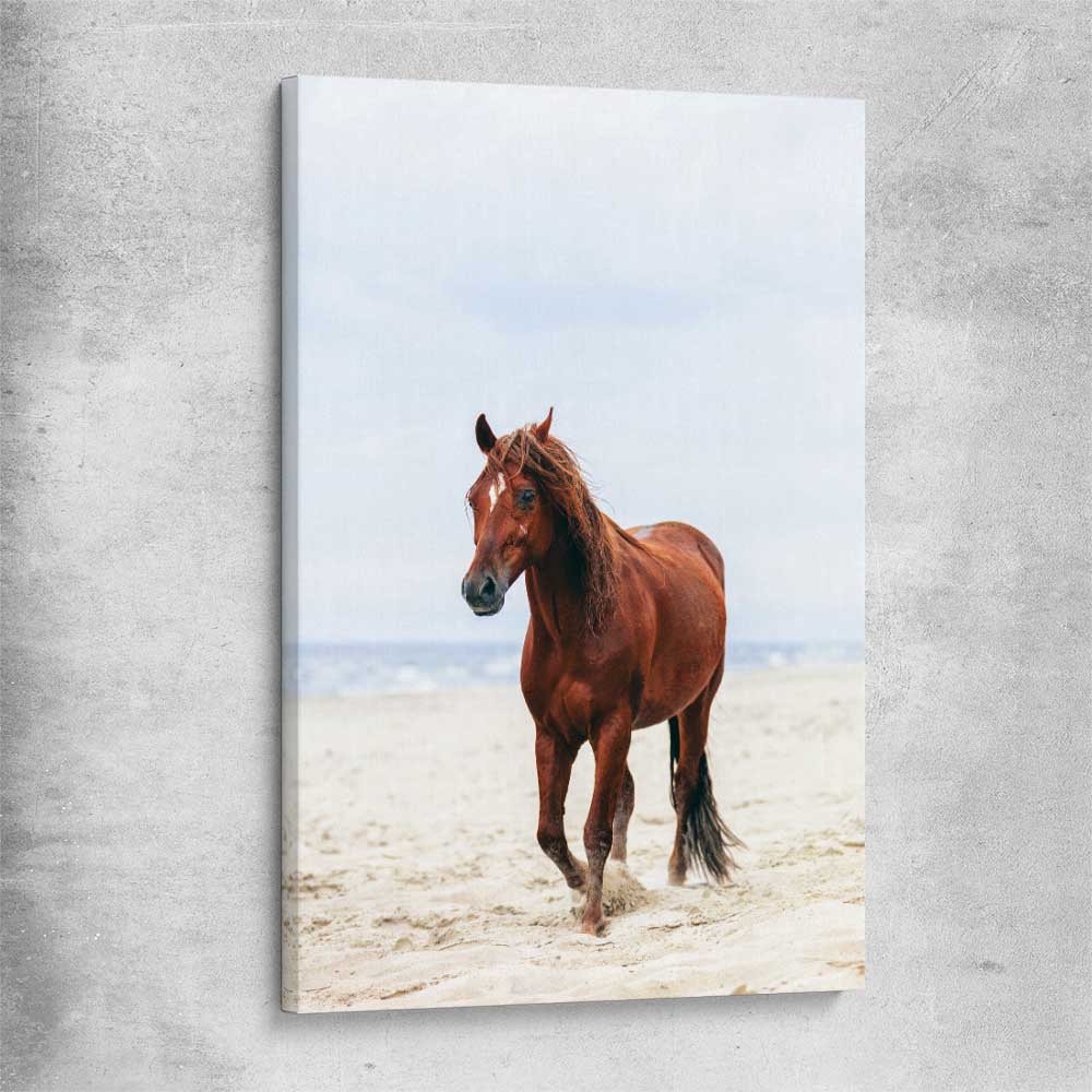 Animal wall art and canvas prints of Sea Breeze Horse on a stretched canvas