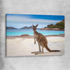 Animal wall art and canvas prints of Shoreline Kangaroo on a stretched canvas