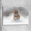 Animal wall art and canvas prints of Snow Tiger Charge on a stretched canvas
