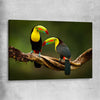Animal wall art and canvas prints of Tropical Toucan Pair on a stretched canvas