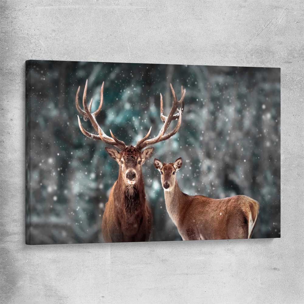Animal wall art and canvas prints of Twin Highland Stags on a stretched canvas