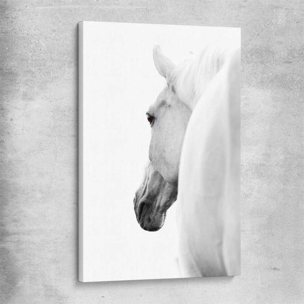 Animal wall art and canvas prints of White Horse Elegance on a stretched canvas