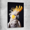 Animal wall art and canvas prints of Yellow Cockatoo One on a stretched canvas