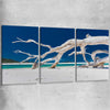 Beach and coastal wall art print of Whitsundays Driftwood Set on a stretched canvas